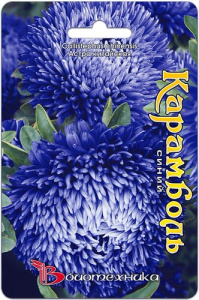 Астра Карамболь Синий  купить