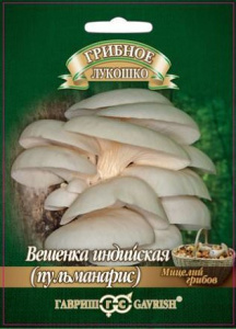 Вешенка индийская Пульмонарис на древесной палочке   купить