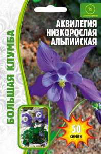 Аквилегия Альпийская низкорослая купить