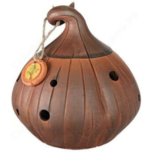 Чесночница Бульбочка (молочение)   купить