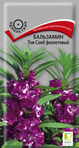 Бальзамин Том Самб фиолетовый купить
