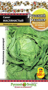 Салат Маслянистый РР кочанный купить