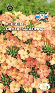 Вербена Санта-Каталина купить