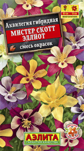 Аквилегия Мистер Скотт Эллиот,смесь  купить