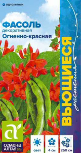 Фасоль вьющаяся Огненно-красная купить