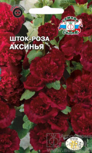 Шток-роза Аксинья  купить
