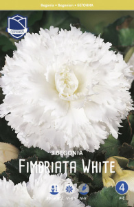 Бегония Fimbriata WHITE  /3шт  купить