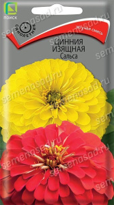 Цинния Сальса изящная купить