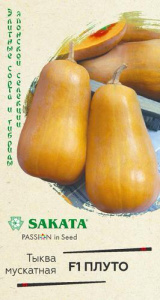 Тыква Плуто, мускатная F1 купить