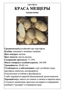 Картофель Краса Мещеры А5 фото купить