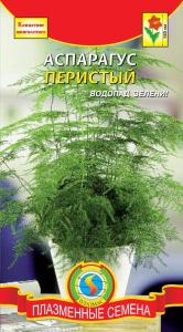 Аспарагус перистый купить