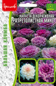 Капуста декоративная Разрезолистная микс  купить