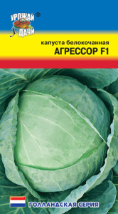 Капуста Агрессор F1 Syngenta купить