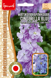 Маттиола Cinderella Blue карликовая купить