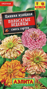 Цинния Полосатые леденцы, смесь  купить