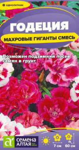 Годеция Махровые гиганты смесь  купить