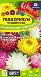 Гелихризум Королевский размер Смесь  купить