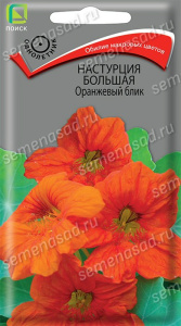 Настурция большая Оранжевый блик купить