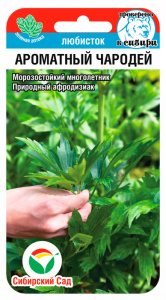 Любисток Ароматный чародей  купить