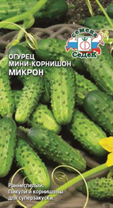 Огурец Микрон мини корнишон купить