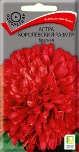 Астра королевский размер Красная купить
