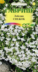 Лобелия Снежок  купить