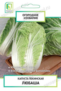 Капуста (пекинская) Любаша купить