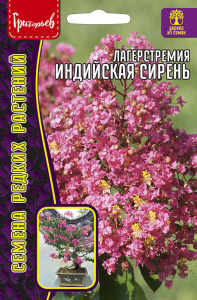 Лагерстремия Индийская Сирень купить