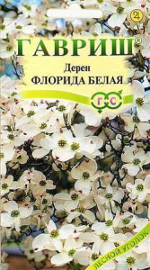 Дерен цветущий Флорида белая  купить