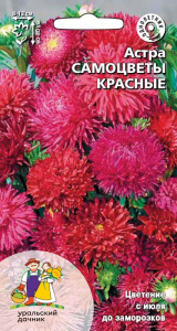 Астра Самоцветы красные купить