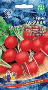 Редис Асканья (УД)  купить