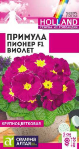 Примула Пионер Виолет двулетник  купить