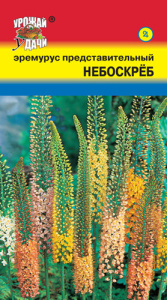 Эремурус Небоскреб  купить