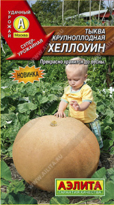 Тыква Хеллоуин крупноплодная купить