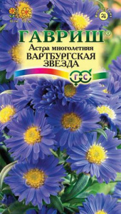 Астра многол Вартбургская Звезда купить
