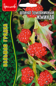 Шпинат Жминда земляничный купить