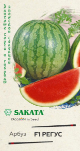 Арбуз Регус F1 купить