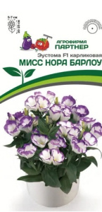 Эустома Мисс F1 Нора Барлоу карлик. бело-фиолет. с каймой купить