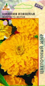 Цинния Изящная Золотисто-Желтая  купить