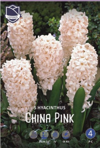 Гиацинт Чайна Пинк /5шт купить