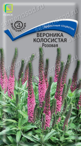 Вероника колосистая Розовая купить