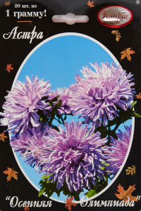 Астра Осенняя олимпиада/1шт купить