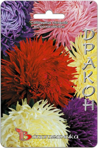 Астра смесь Дракон ДРАКОН  купить