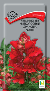 Львиный зев низкорослый Дракоша Красный  купить