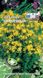 Зверобой Солнечный  купить