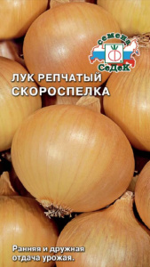 Лук (репчатый) Скороспелка  купить