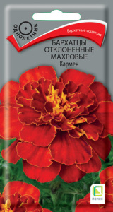 Бархатцы Кармен откл. махр. купить