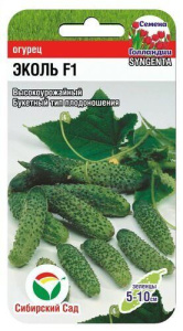 Огурец Эколь F1 Сингента купить