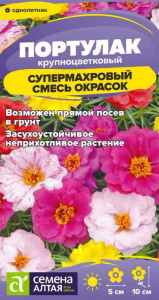 Портулак Супермахровый Смесь  купить