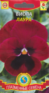 Виола Лаура  купить